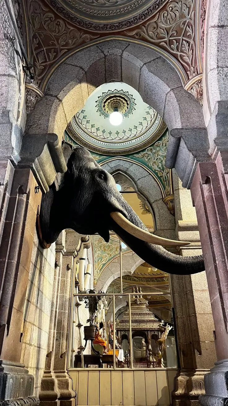 Premium cab driving on a scenic highway in Karnataka