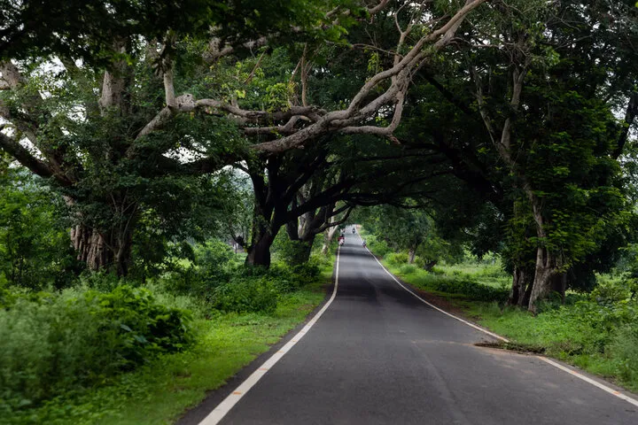 Wayanad Kerala